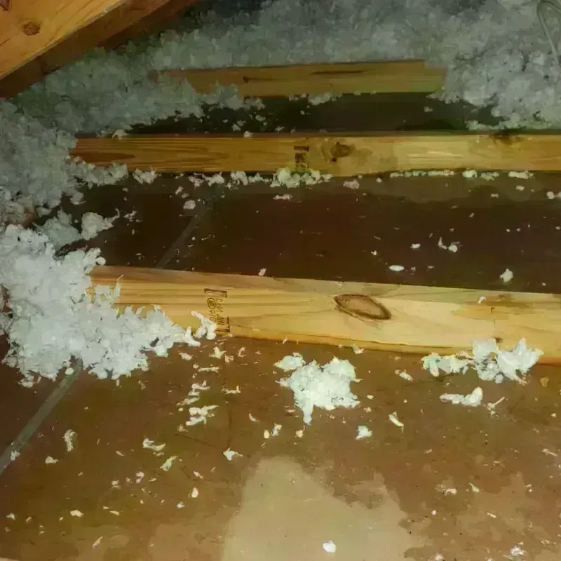 Attic Water Damage in Sherwood Shores, TX